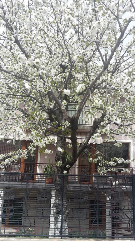 Kyurkchievi Guest House Sapareva Banya Exterior foto