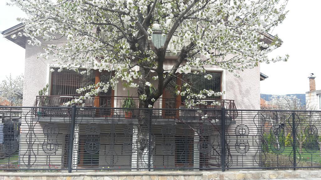 Kyurkchievi Guest House Sapareva Banya Exterior foto