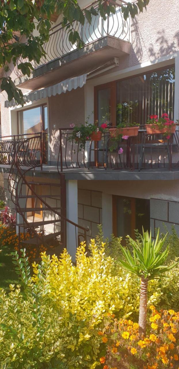 Kyurkchievi Guest House Sapareva Banya Exterior foto